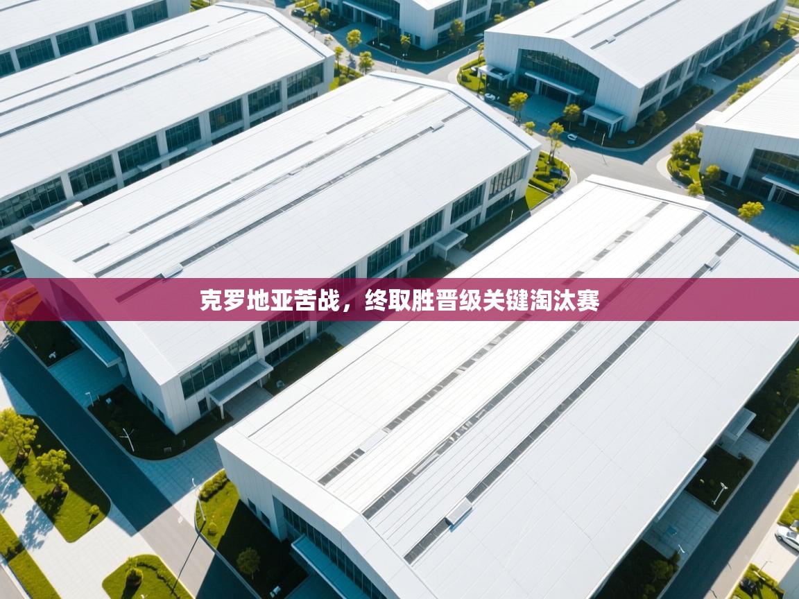 克罗地亚苦战，终取胜晋级关键淘汰赛  第2张